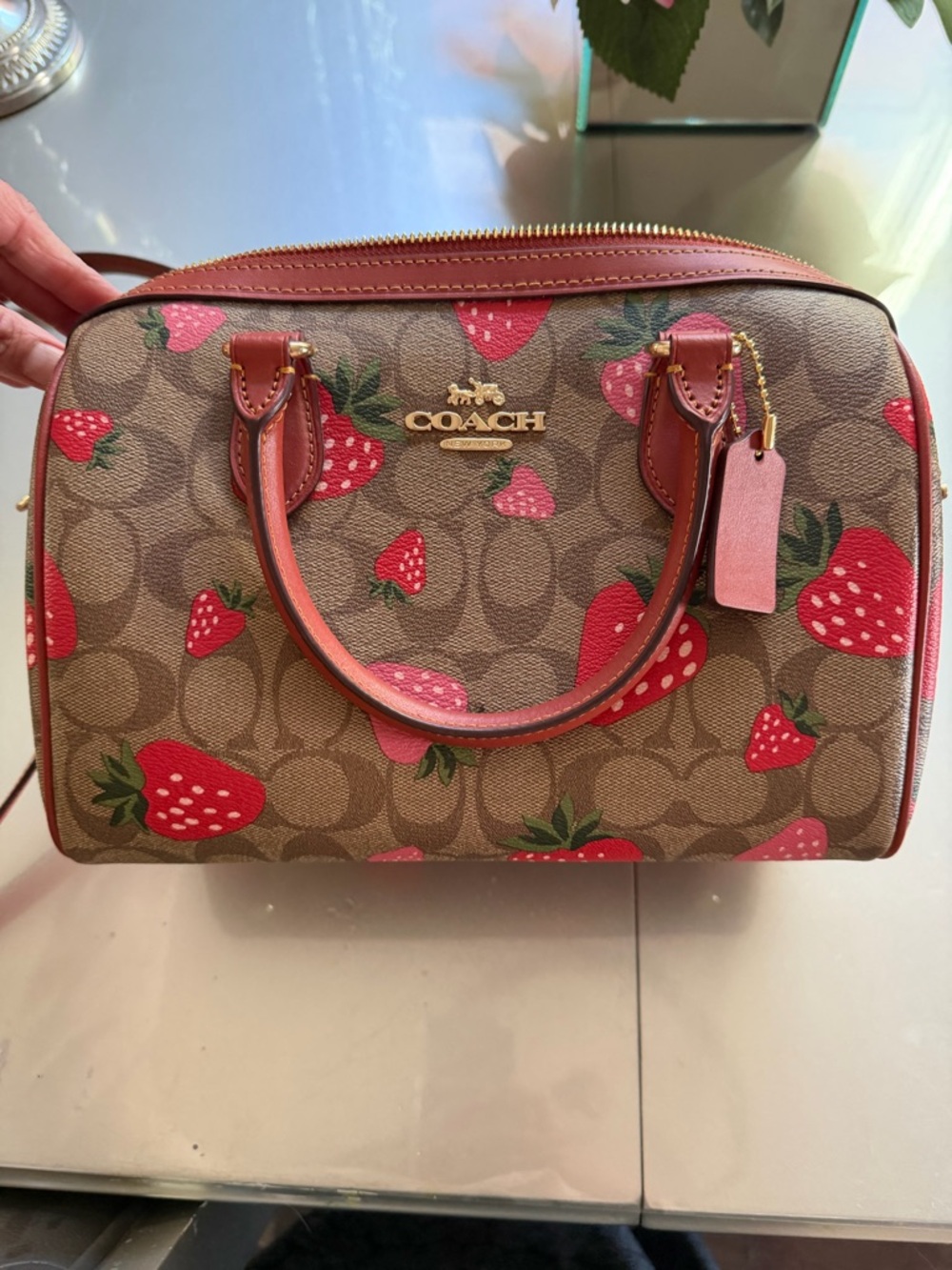 Coach Strawberry Print Signature Dome Satchel in Red, Pink and Brown